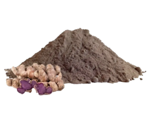 Organic Black Ginger Powder