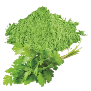 Corriander Leaves Powder