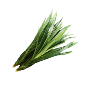 Pandan Leaves