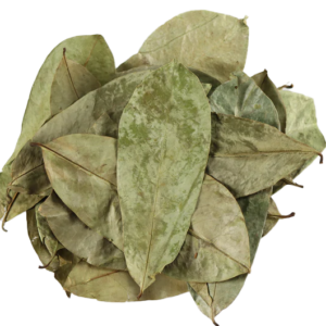 Dried Soursop Leaves