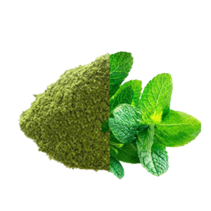 Mint Leaves Powder